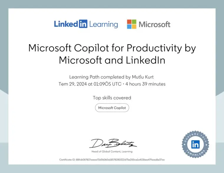 Microsoft Copilot for Productivity (Öğrenme Yolu)