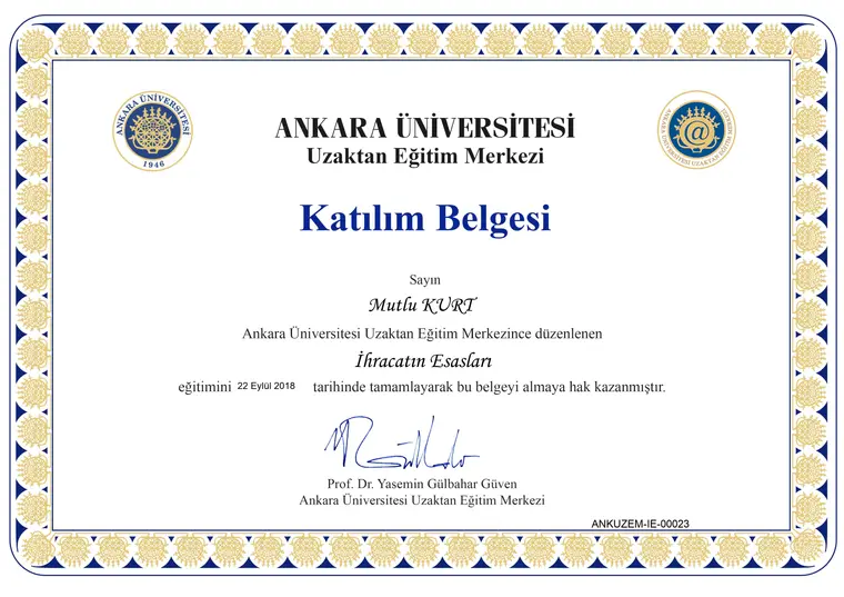 İhracatın Esasları